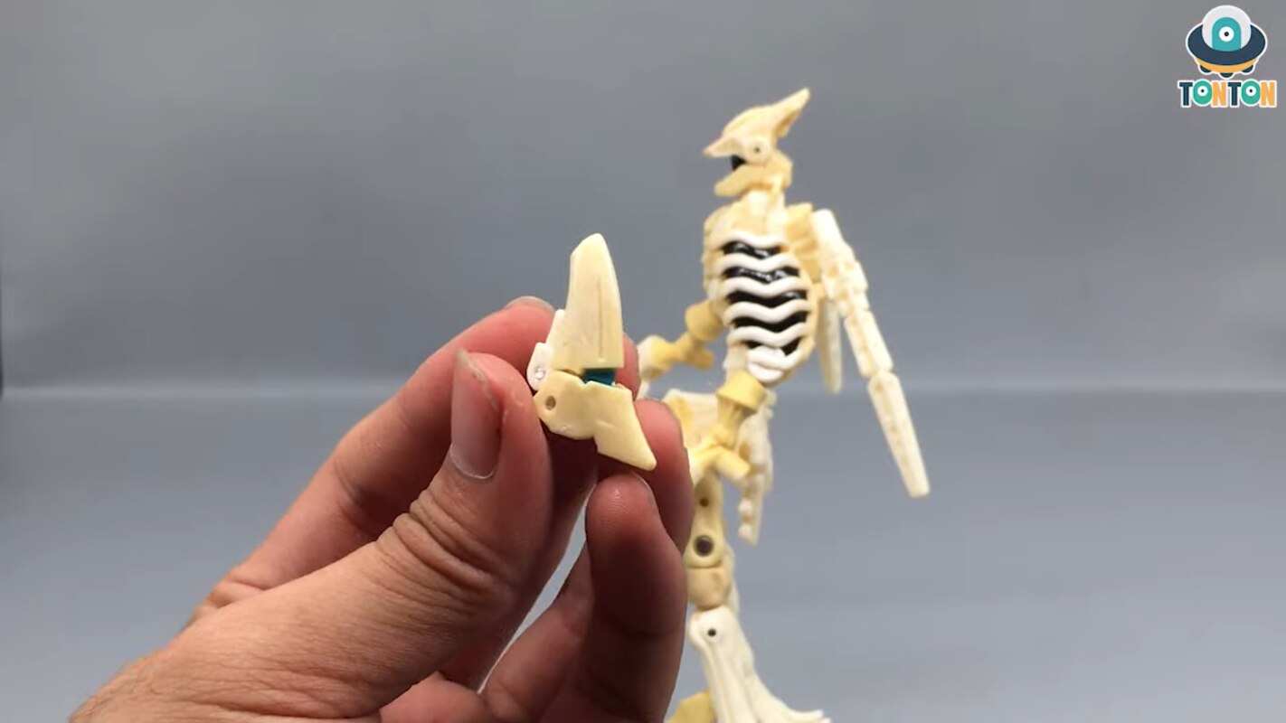 fossilizer wingfinger